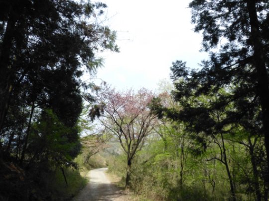 画像40